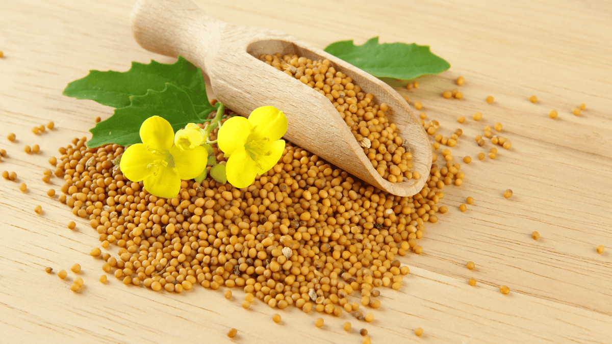 Flower Seeds