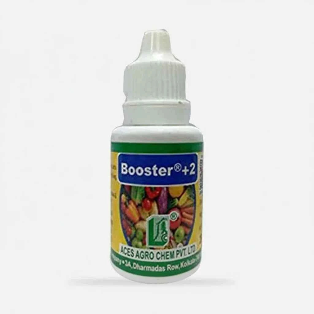 Booster 2 PGR