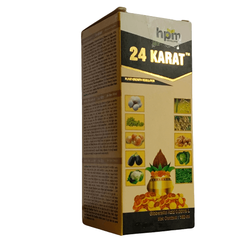 HPM 24 KARAT PGR